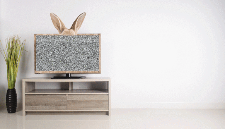 Static TV with actual Rabbit ears as an antenna
